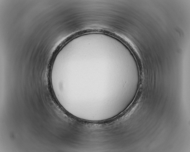 X0000114490783200911091047