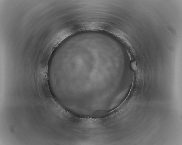 X0000114490785200911091047