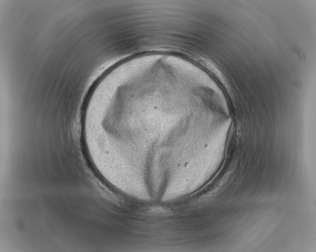 X0000114490787200911091047