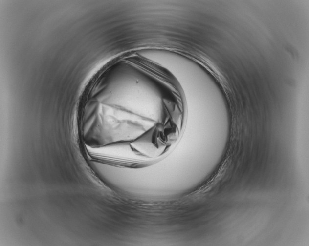 X0000114490788200911091047