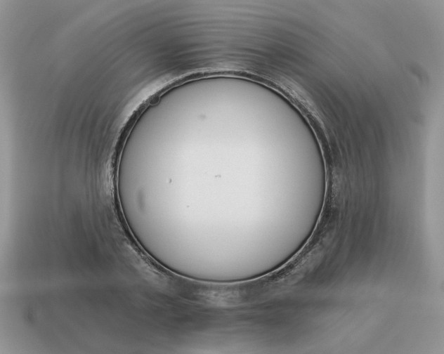 X0000114490789200911091047