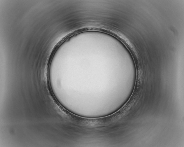 X0000114490791200911091047