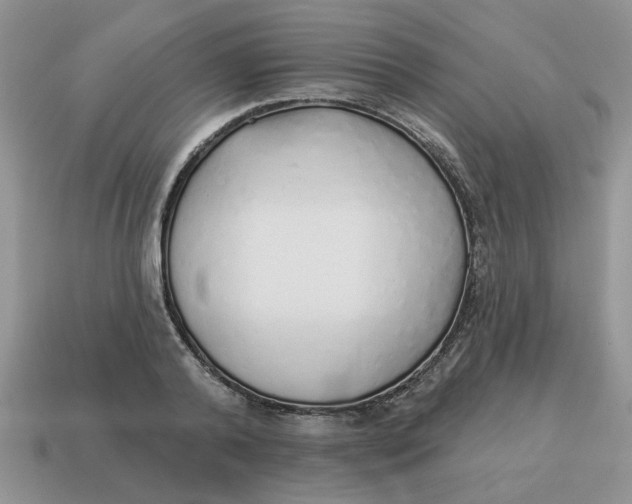 X0000114490792200911091047