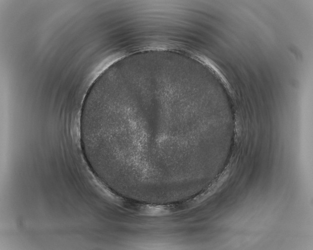 X0000114490794200911091047