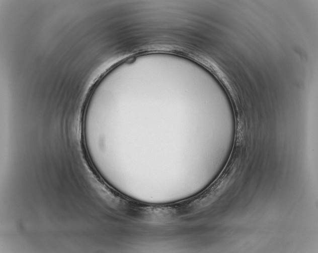 X0000114490795200911091047