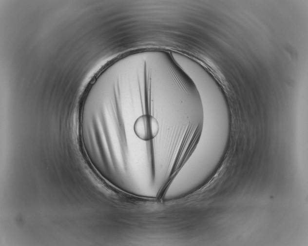 X0000114490796200911091047