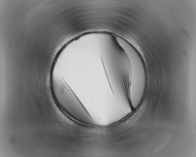 X0000114490797200911091047