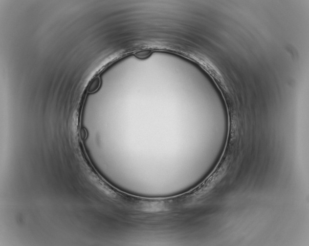 X0000114490798200911091047