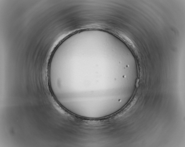 X0000114490800200911091047