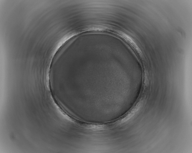 X0000114490802200911091047