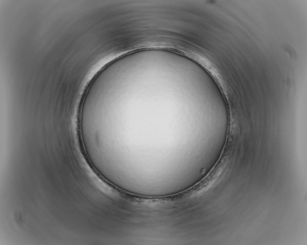 X0000114490803200911091047