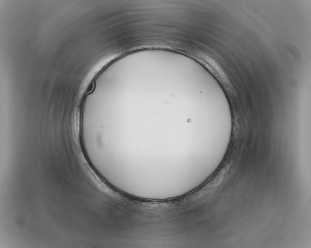 X0000114490804200911091047