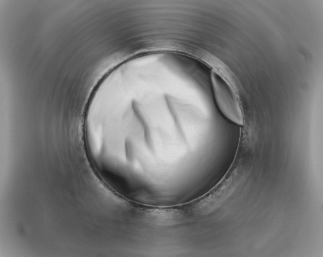 X0000114490805200911091047
