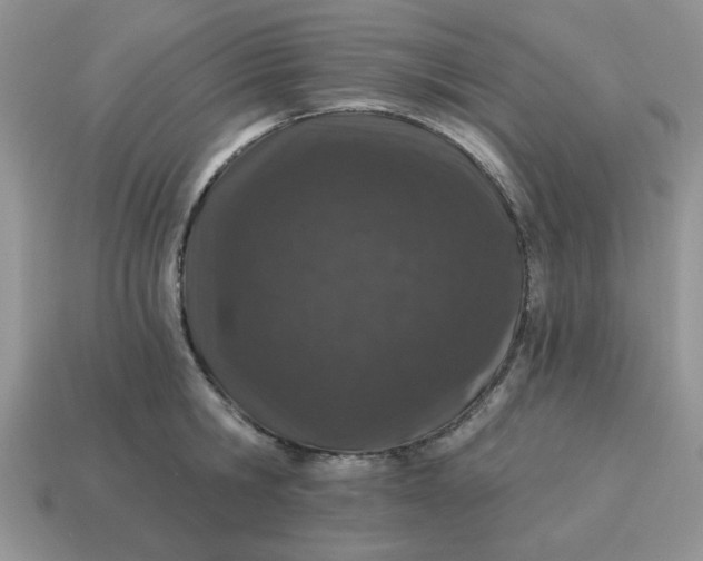 X0000114490806200911091047