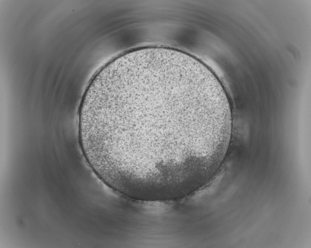 X0000114490807200911091047