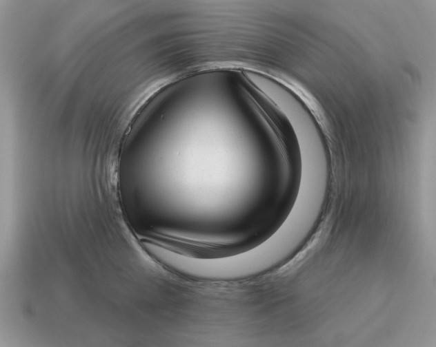 X0000114490809200911091047