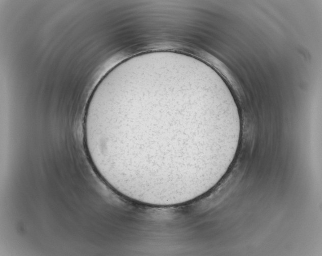 X0000114490810200911091047