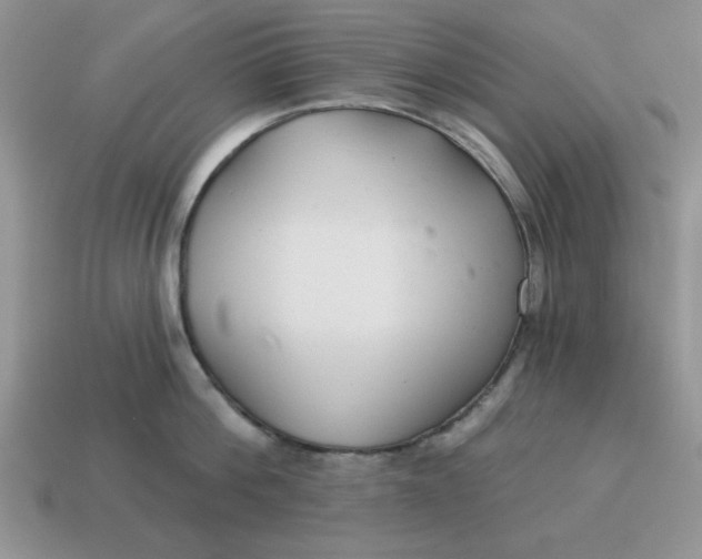 X0000114490812200911091047