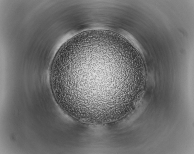 X0000114490813200911091047