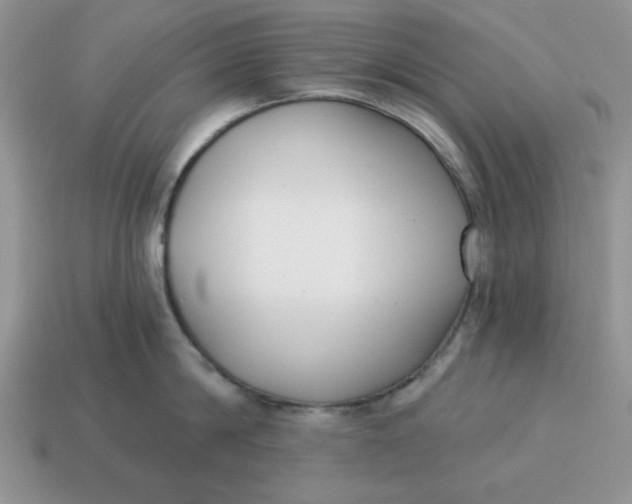 X0000114490814200911091047