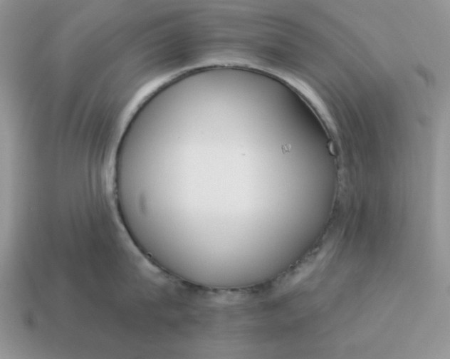 X0000114490815200911091047