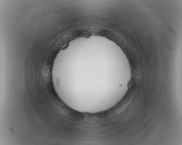 X0000114490818200911091046