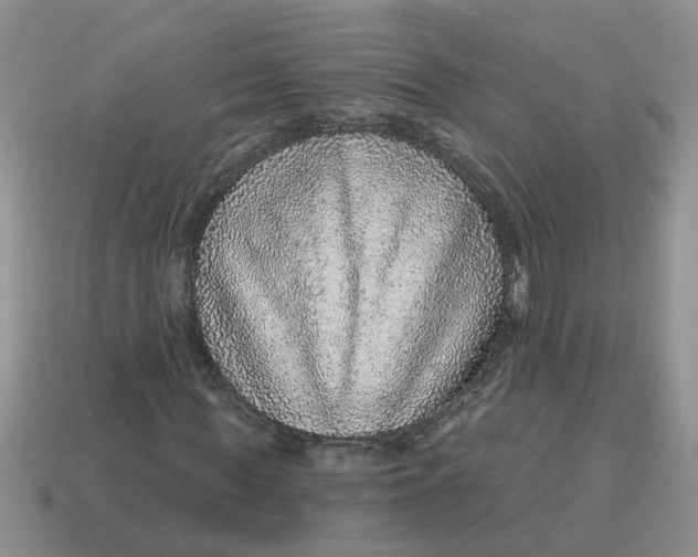 X0000114490819200911091046