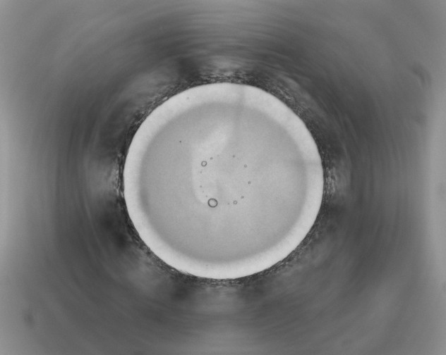 X0000114490820200911091046