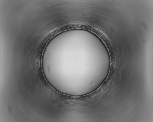 X0000114490821200911091046