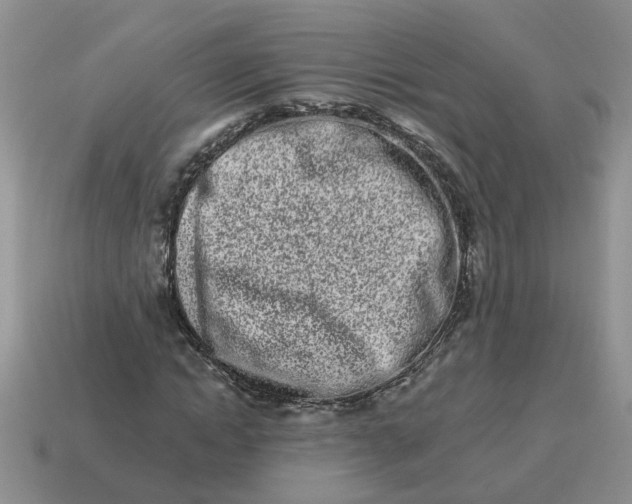 X0000114490822200911091046