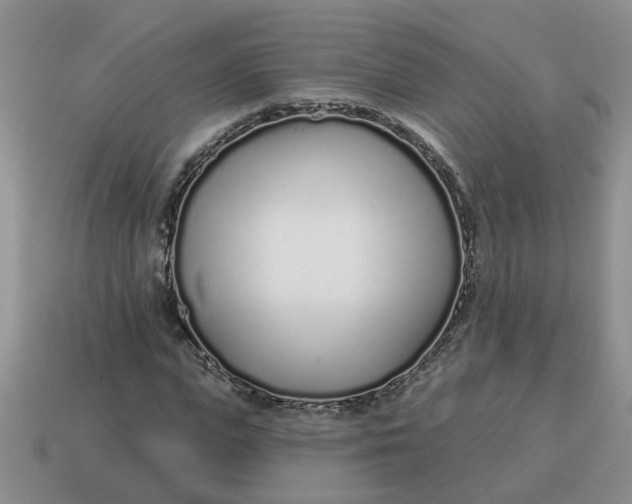 X0000114490823200911091046