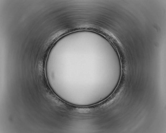 X0000114490825200911091046