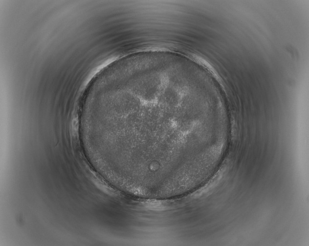 X0000114490827200911091046