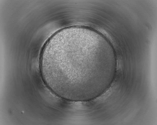 X0000114490828200911091046