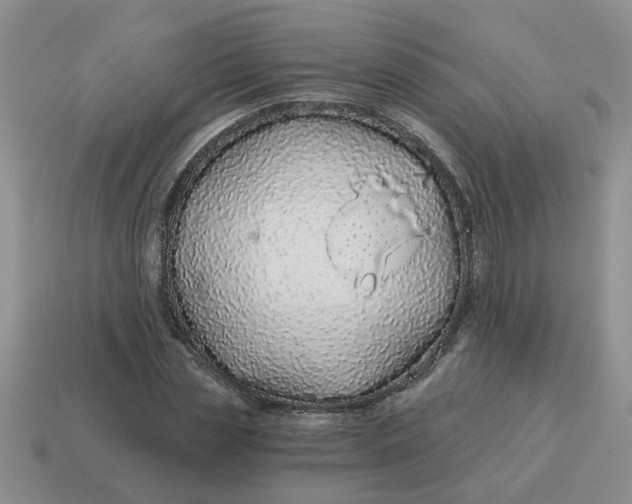 X0000114490829200911091046