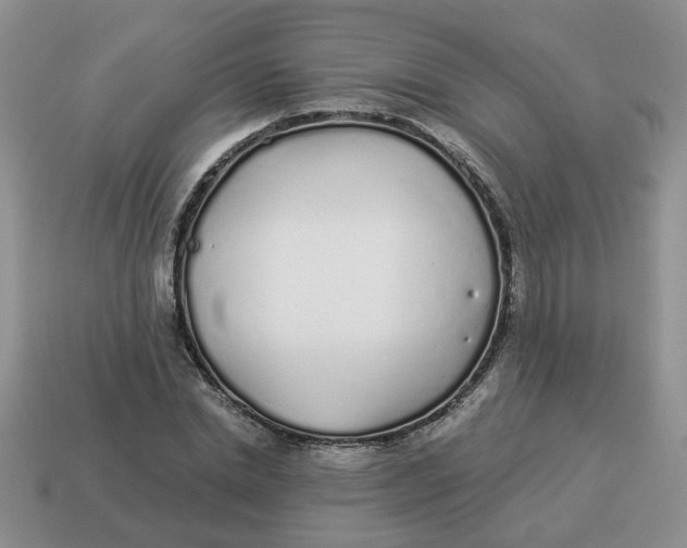 X0000114490830200911091046