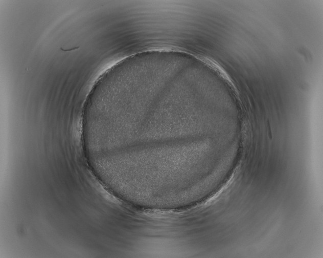 X0000114490831200911091046