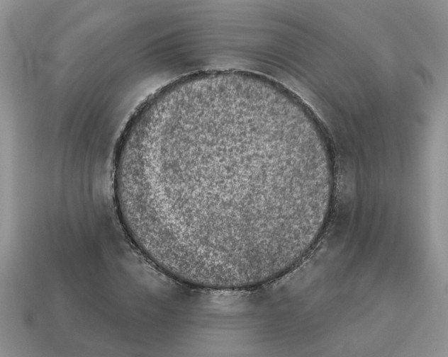 X0000114490832200911091046