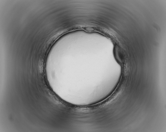 X0000114490833200911091046