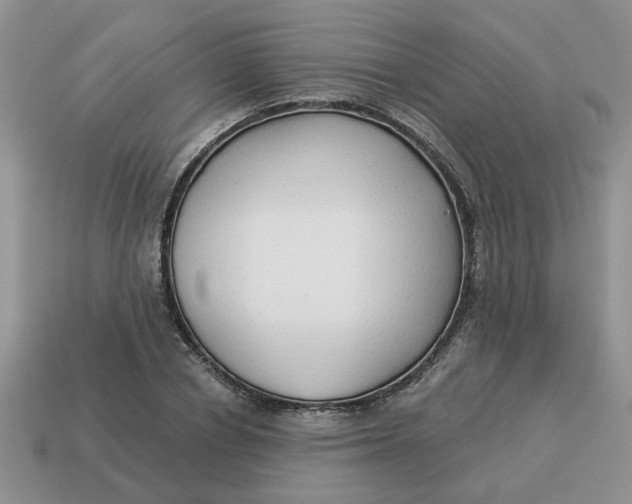 X0000114490834200911091046