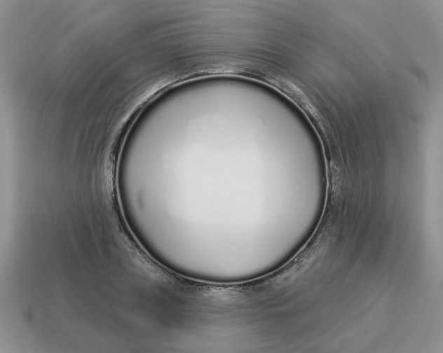 X0000114490835200911091046