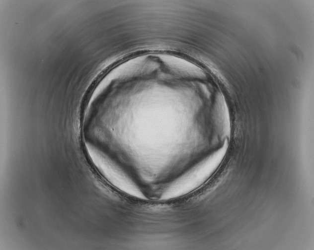 X0000114490837200911091046