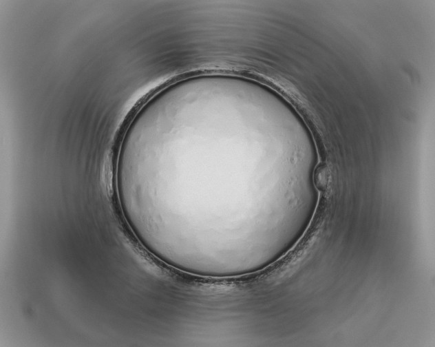X0000114490838200911091047