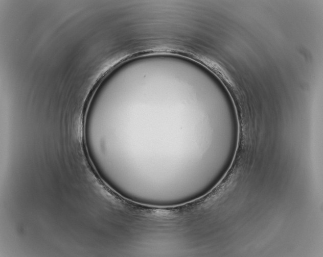X0000114490839200911091047