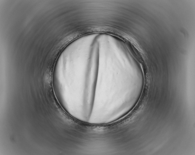 X0000114490841200911091047