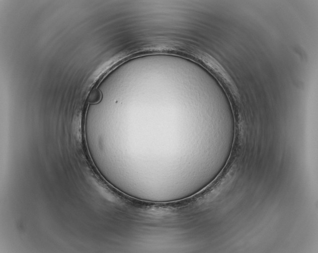 X0000114490842200911091047