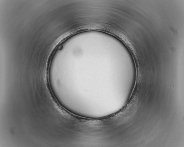 X0000114490845200911091047