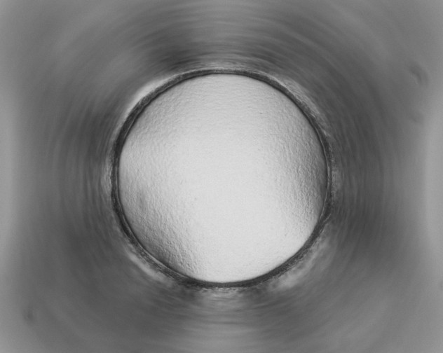 X0000114490846200911091047