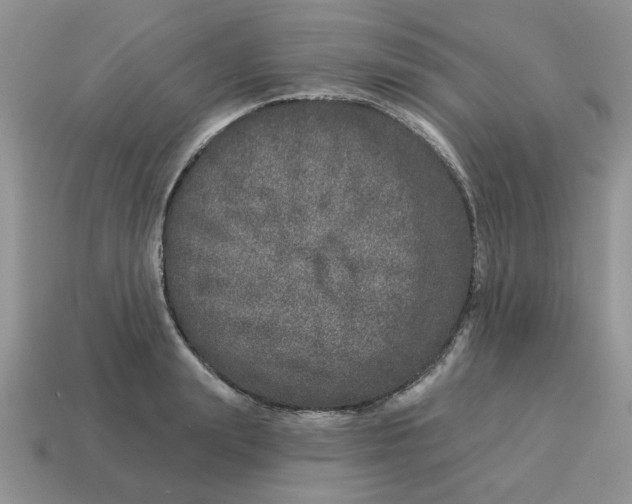 X0000114490847200911091047