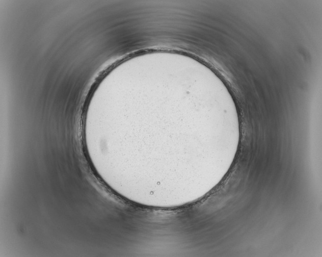 X0000114490848200911091047